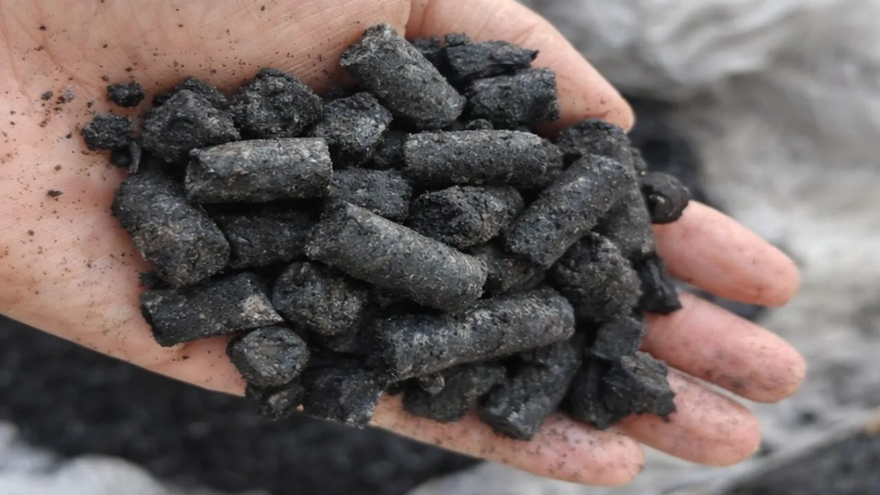 EFB pellet biochar with dense, carbon-rich pellet form