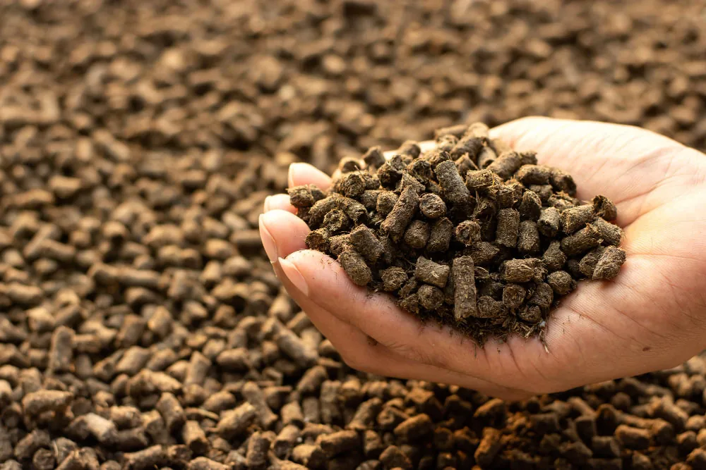 Handful of dark biochar-blended feed pellets held above a bulk pile